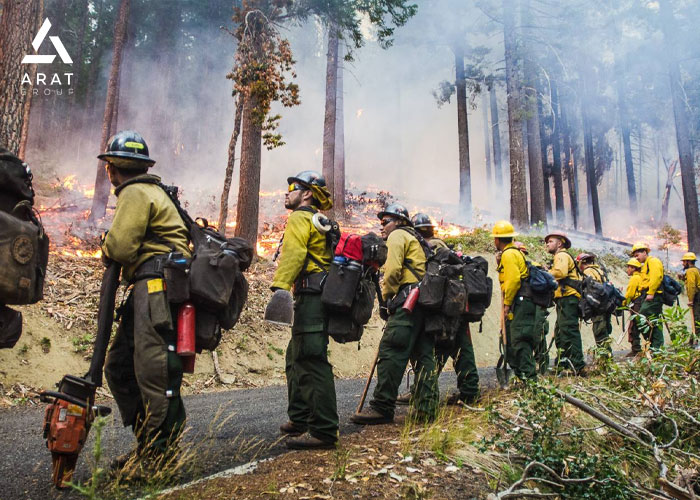 دلایل وقوع آتش سوزی و نحوه اطفا حریق در جنگل‌ها 