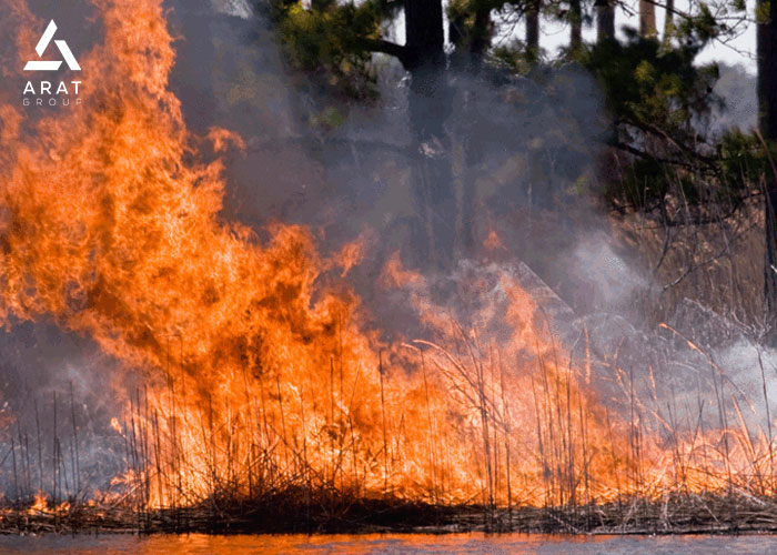 مهار آتش سوزی جنگل با حمله غیرمستقیم 