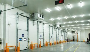 کاربرد کابل LHD در سردخانه ها