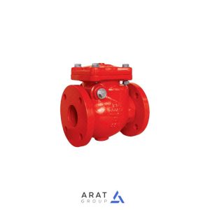 شیر یکطرفه آتش نشانی نوع Swing سایز 2.5 اینچ Safex
